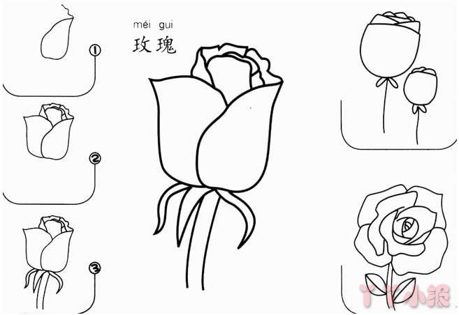 怎么画玫瑰花的画法步骤教程简单漂亮