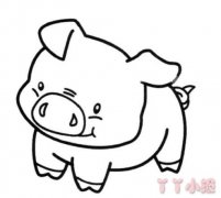 怎么绘画猪宝宝简笔画教程简单可爱