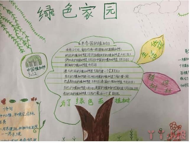 植树节手抄报内容与图片小学生一等奖四年级获奖手抄报