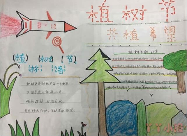 植树节手抄报内容与图片小学生一等奖四年级获奖手抄报