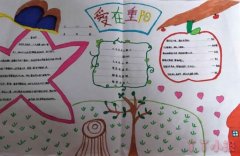 关于九九重阳节的手抄报简单又漂亮四年级
