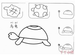 怎么画乌龟简笔画带步骤简单又好看涂色