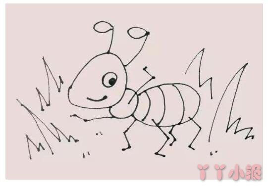 怎么画小蚂蚁简笔画带步骤简单又好看涂色