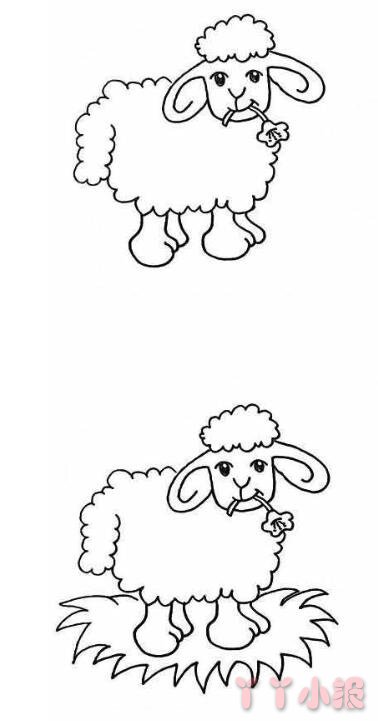 怎么画绵羊简笔画带步骤简单又好看涂色