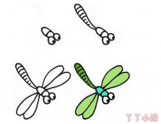 怎么画蜻蜓简笔画带步骤简单又可爱涂色