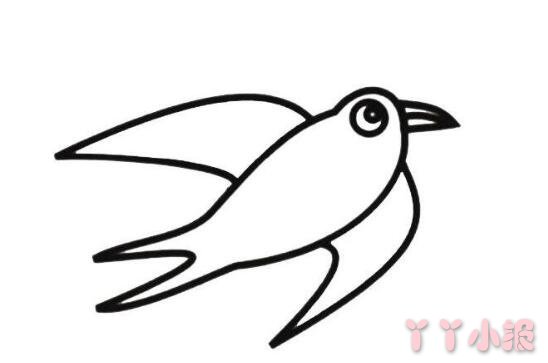 怎么画飞翔的燕子简笔画带步骤简单又可爱涂色