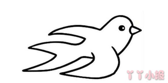 怎么画飞翔的燕子简笔画带步骤简单又可爱涂色