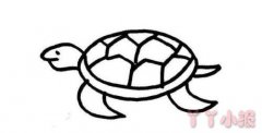 怎么画小乌龟简笔画带步骤简单又可爱涂色