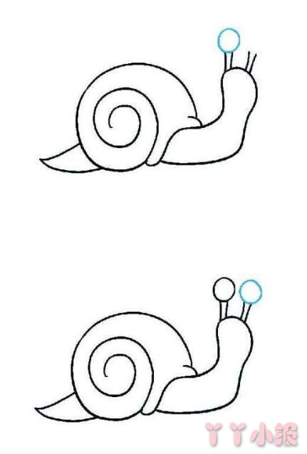 怎么画可爱蜗牛简笔画带步骤简单又好看涂色