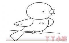 怎么画黄鹂鸟简笔画带步骤简单又好看涂色
