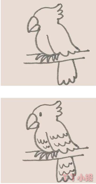 怎么画鹦鹉简笔画带步骤简单又可爱涂色