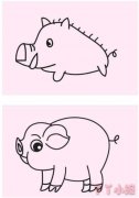 怎么画小猪简笔画带步骤简单又可爱涂色