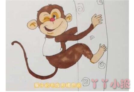 怎么画小猴子简笔画带步骤简单又好看涂色