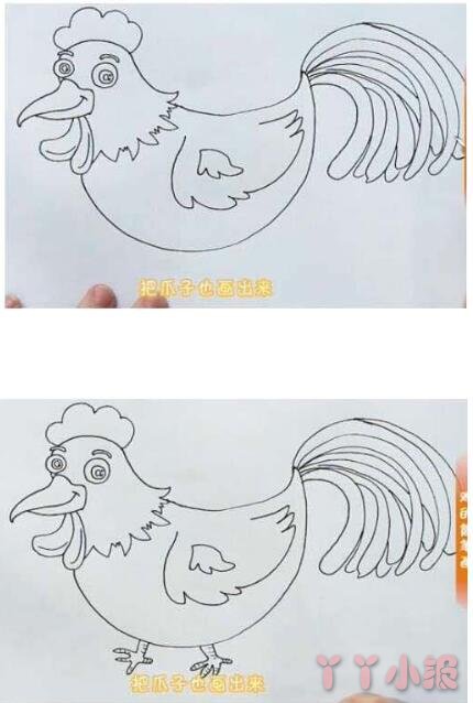 公鸡的画法简笔画带步骤简单又可爱涂色
