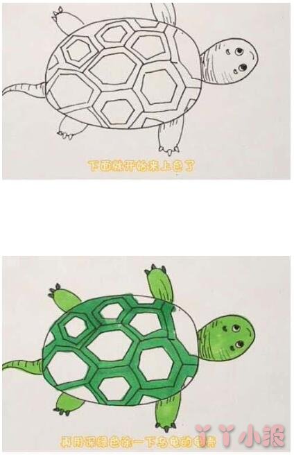 怎么画卡通乌龟简笔画带步骤简单又可爱涂色