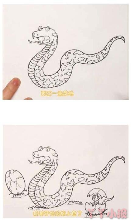 怎么画蛇简笔画带步骤简单又好看涂色