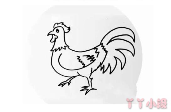 大公鸡的画法简笔画带步骤简单又可爱涂色