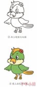 怎么画卡通鹦鹉简笔画带步骤简单又可爱涂色