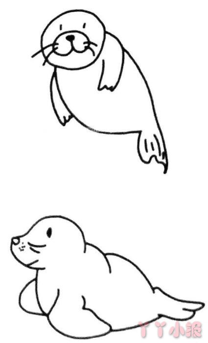 怎么画可爱小海狮简笔画带步骤简单又好看涂色