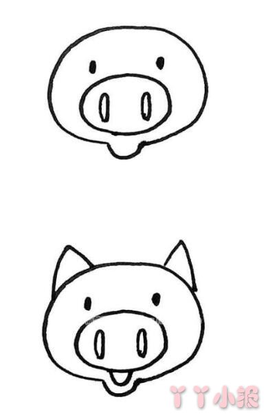 小猪的画法简笔画带步骤简单又可爱涂色
