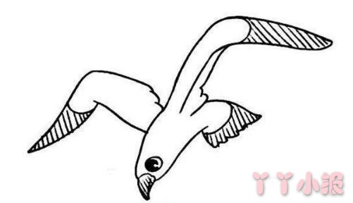 怎么画小海鸥简笔画带步骤简单又好看涂色