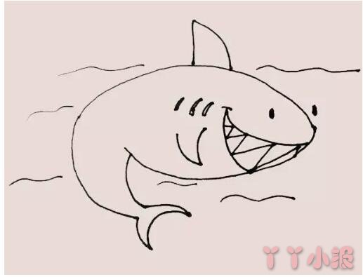 怎么画鲨鱼简笔画带步骤简单又可爱涂色