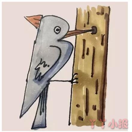 怎么画啄木鸟简笔画带步骤简单又好看涂色