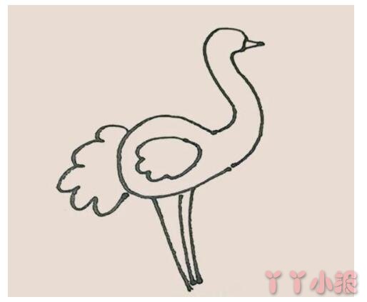 怎么画长腿鸵鸟简笔画带步骤简单又好看涂色