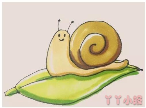 怎么画卡通蜗牛简笔画带步骤简单又可爱涂色