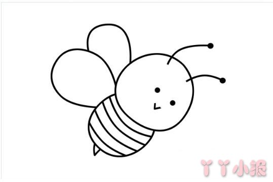 怎么画小蜜蜂简笔画带步骤简单又好看涂色