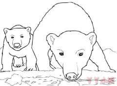 怎么画好奇的北极熊简笔画带步骤简单又好看手绘