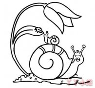 蜗牛的画法简笔画带步骤简单又可爱涂色