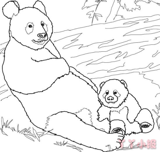 怎么画熊猫妈妈简笔画带步骤简单又可爱素描手绘