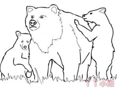 怎么画两只灰熊宝宝简笔画带步骤简单又好看素描