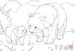 怎么画熊猫妈妈和熊猫宝宝简笔画简单又好看素描