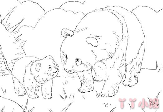怎么画熊猫妈妈和熊猫宝宝简笔画简单又好看素描