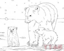 北极熊的画法简笔画带步骤简单又好看素描