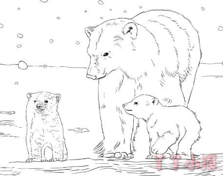 北极熊的画法简笔画带步骤简单又可爱涂色