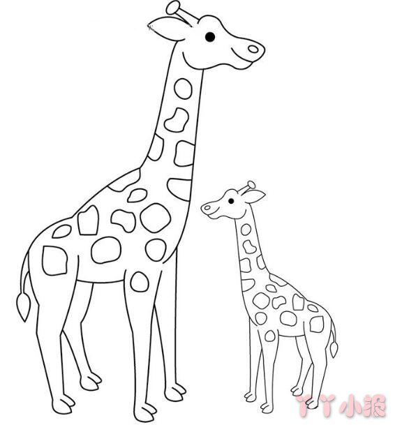 怎么画长颈鹿宝宝简笔画带步骤简单又好看涂色