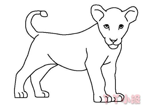 狮子宝宝的画法简笔画带步骤简单又好看涂色
