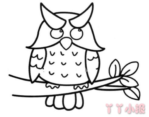 怎么画挂树枝上的猫头鹰简笔画带步骤简单又好看涂色