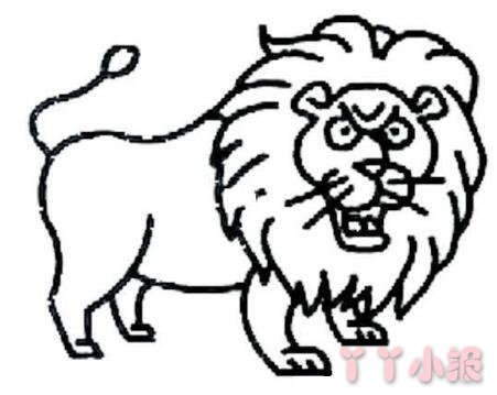 怎么画威武的狮子简笔画带步骤简单又好看涂色
