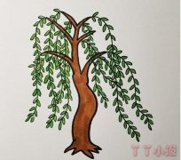 发芽的柳树简笔画怎么画带步骤简单又好看