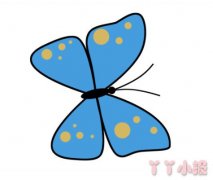 怎么绘画蝴蝶简笔画带步骤简单又漂亮涂颜色