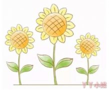 怎么绘画向日葵简笔画带步骤简单又漂亮涂色