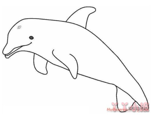 跳跃海豚简笔画怎么画带步骤简单又好看