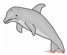 跳跃海豚简笔画怎么画带步骤简单又好看