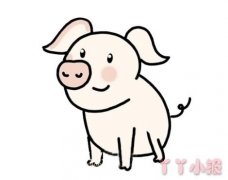 可爱小猪的简笔画怎么画带步骤简单又好看
