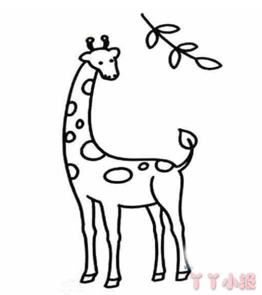 长颈鹿的简笔画怎么画带步骤简单又好看