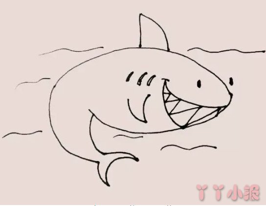 卡通鲨鱼的简笔画怎么画带步骤简单又好看